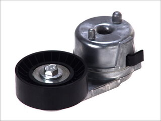 Dayco APV2488