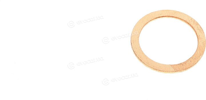 Elring 527.250