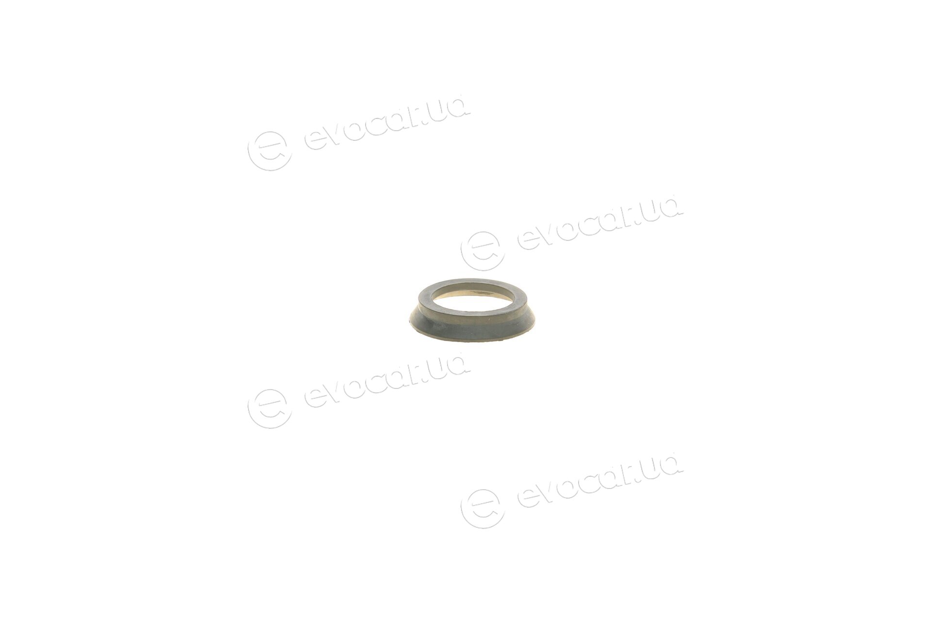Frenkit 748053