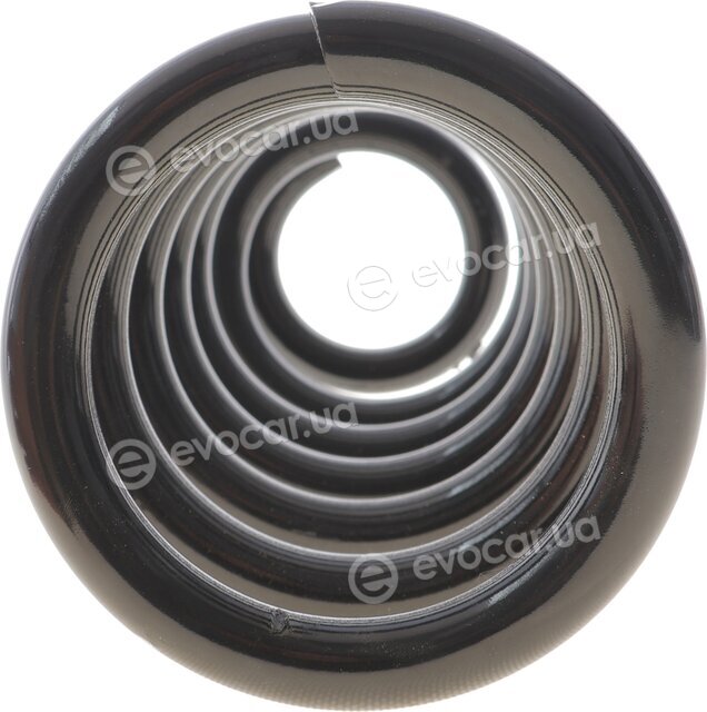 Solgy 212152