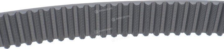 Dayco KTB891