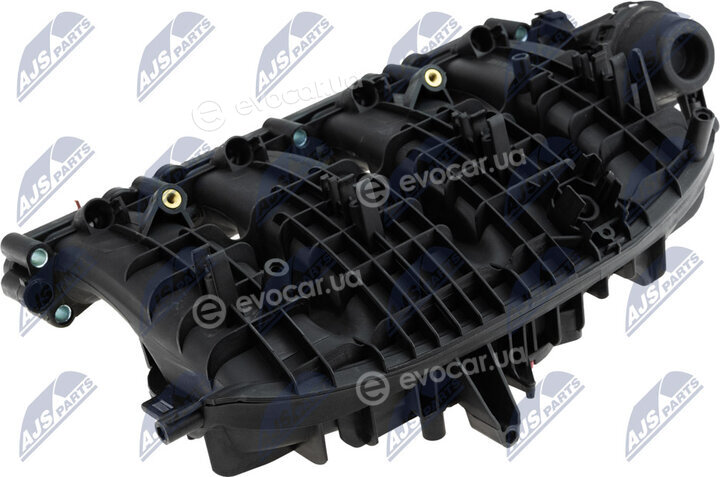 NTY BKS-VW-026