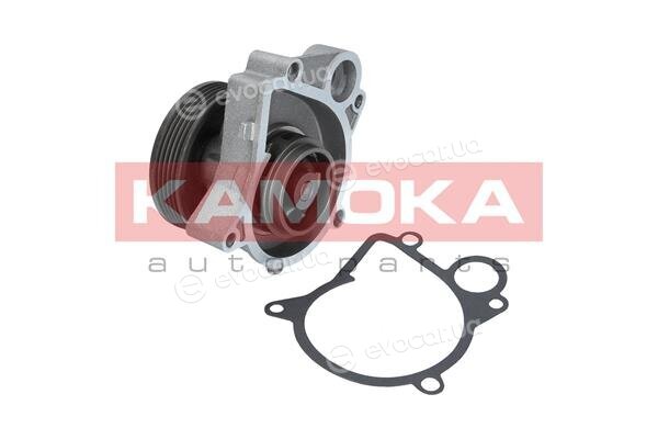 Kamoka T0061
