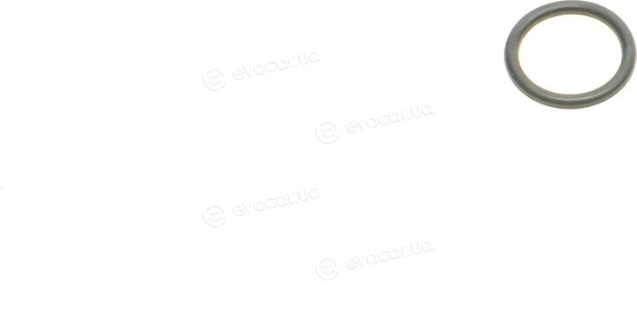 Victor Reinz 02-36081-01