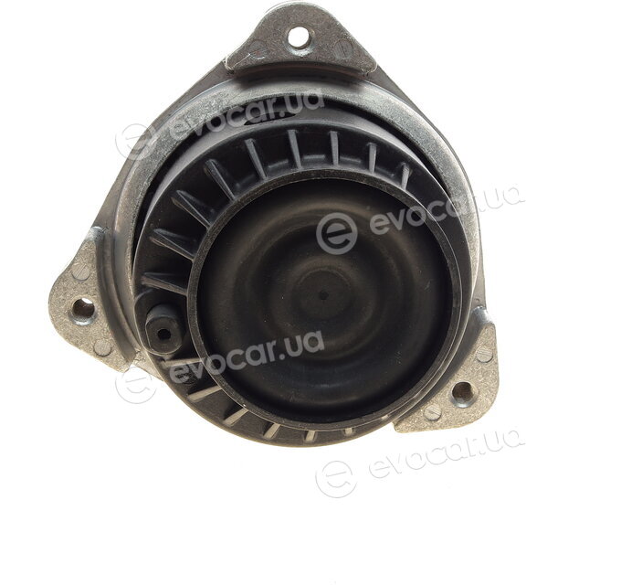 Bogap B1911152