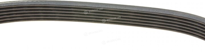 Dayco 6PK1725