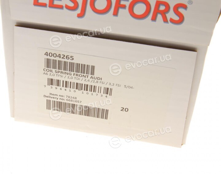 Lesjofors 4004265