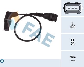 FAE 79304