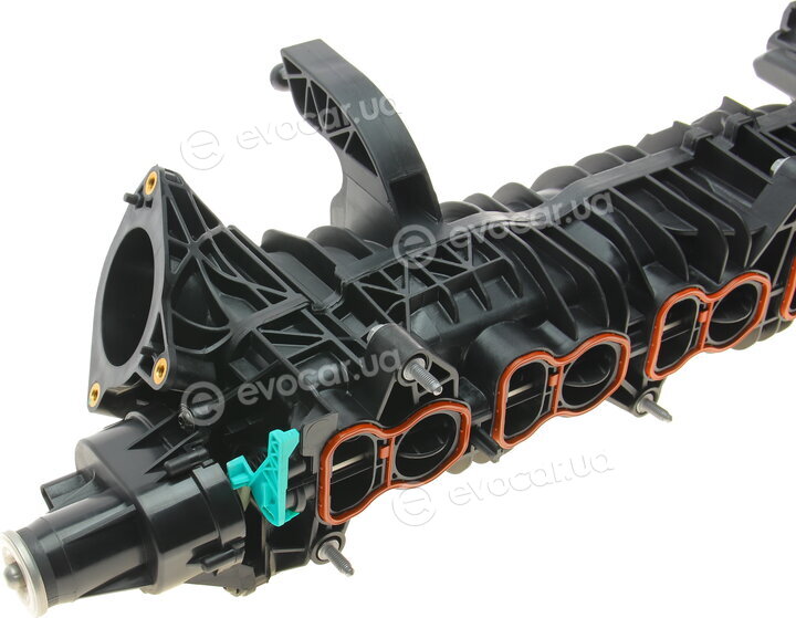 Solgy 114161