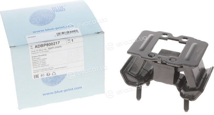 Blue Print ADBP800217