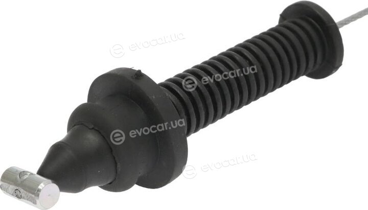 Starline LA AC.0294