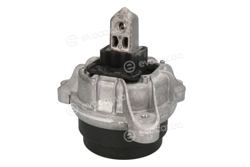 Reinhoch RH11-3079