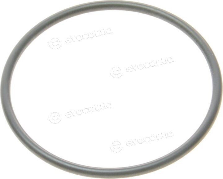 Elring 006.600