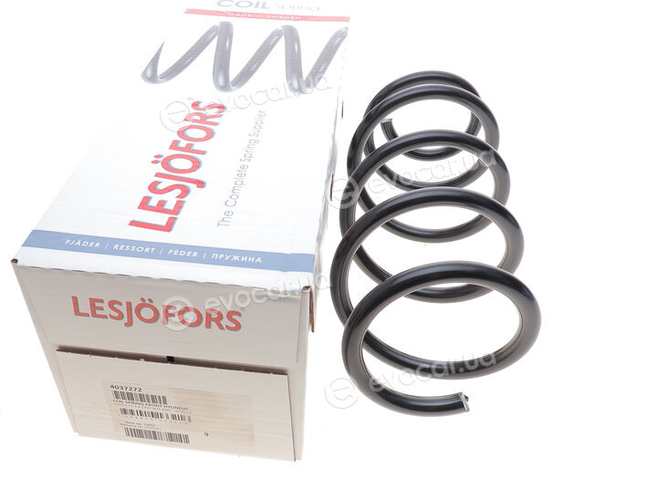 Lesjofors 4037272