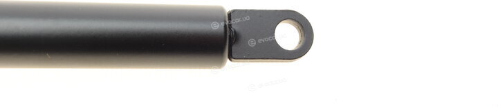 Lesjofors 8004206