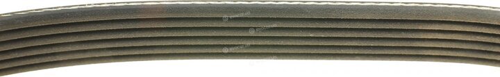 Dayco 6PK1065