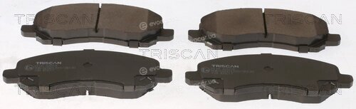 Triscan 8110 42019