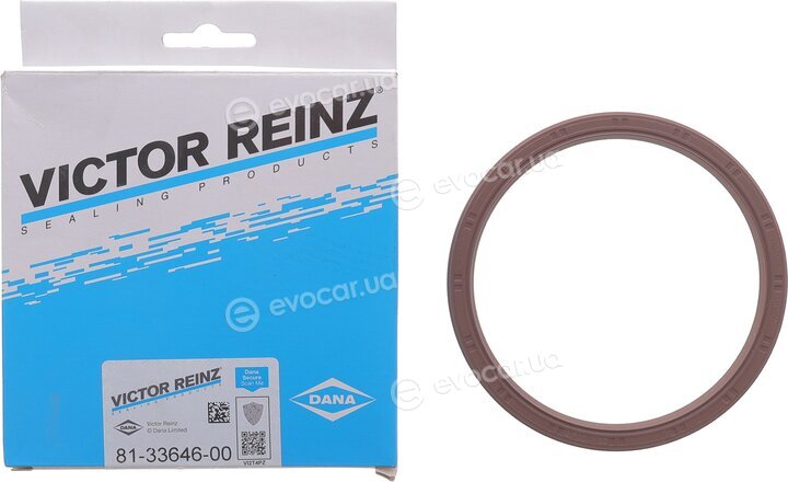 Victor Reinz 81-33646-00