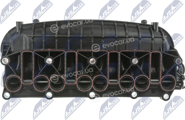NTY BKS-VW-012