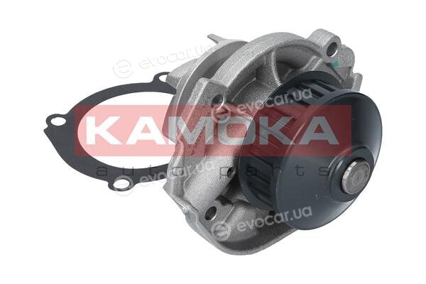 Kamoka T0117