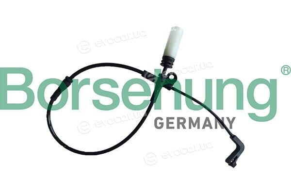 Borsehung B13161