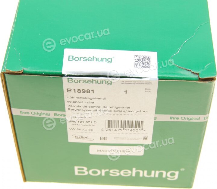 Borsehung B18981