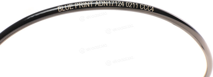 Blue Print ADN17124