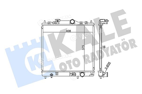 Kale 362500