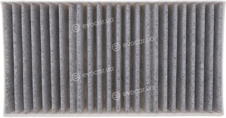 Solgy 104145
