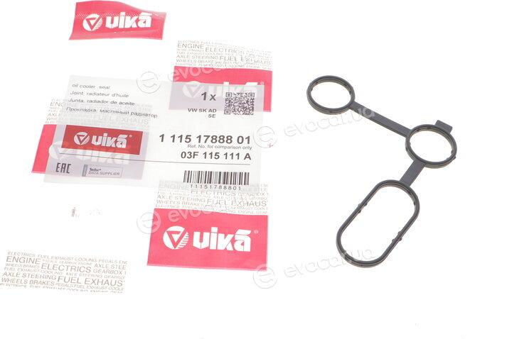 Vika 11151788801