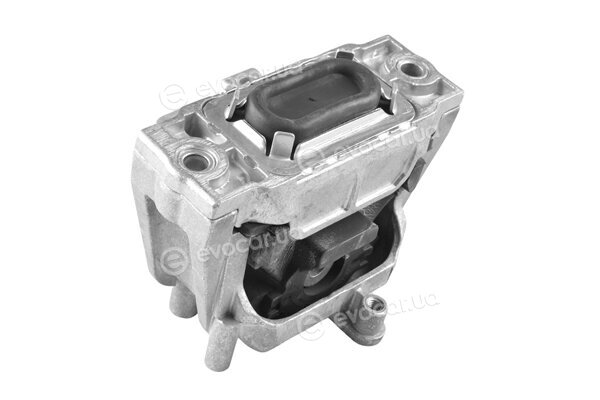 Tedgum TED82685