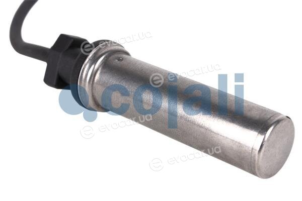 Cojali 2261499