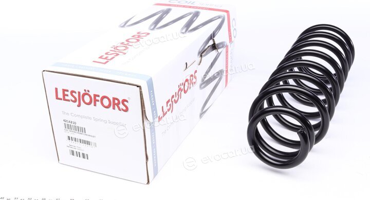Lesjofors 4214210
