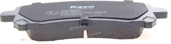 Kavo KBP-8001