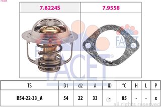 Facet 7.8224