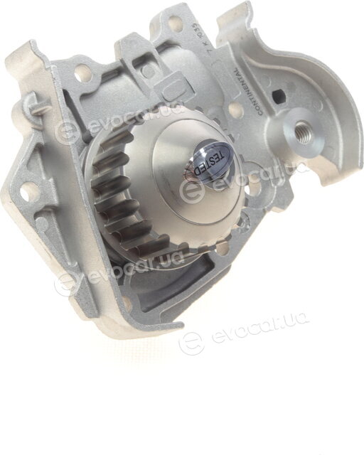 Continental WP6031