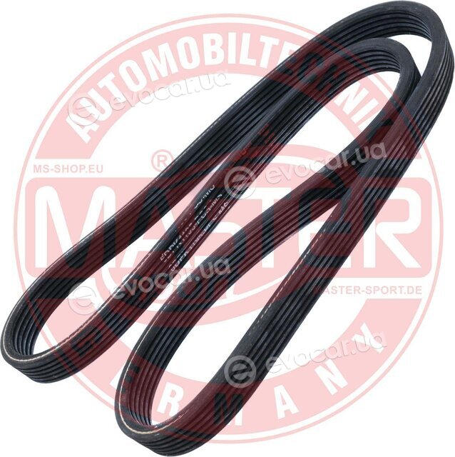 Master Sport 6DPK1195-PCS-MS