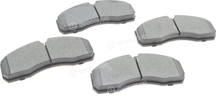 Solgy 209080