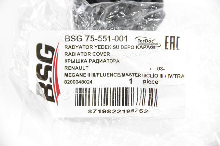 BSG BSG 75-551-001