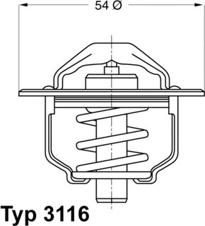 Wahler / BorgWarner 3116.82D