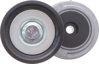 Dayco APV2817