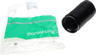 Borsehung B19167