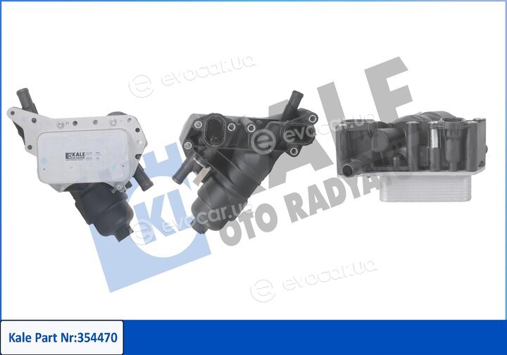 Kale 354470