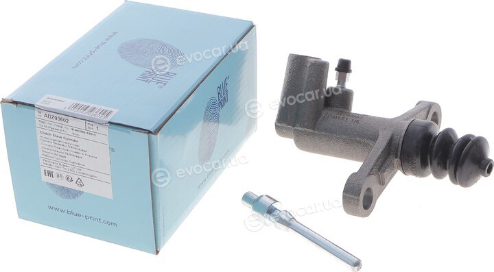 Blue Print ADZ93602
