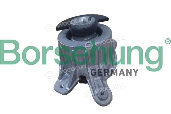 Borsehung B12985