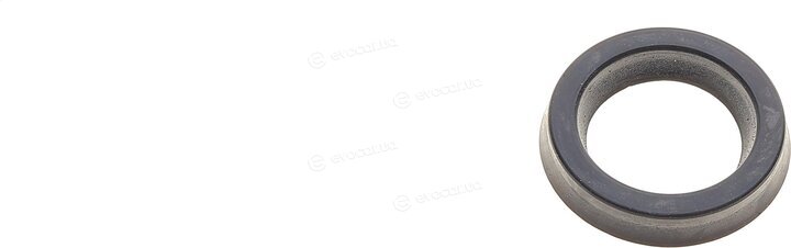 Frenkit 122108