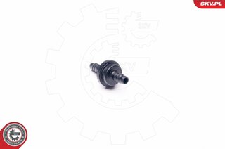 SKV 31SKV001
