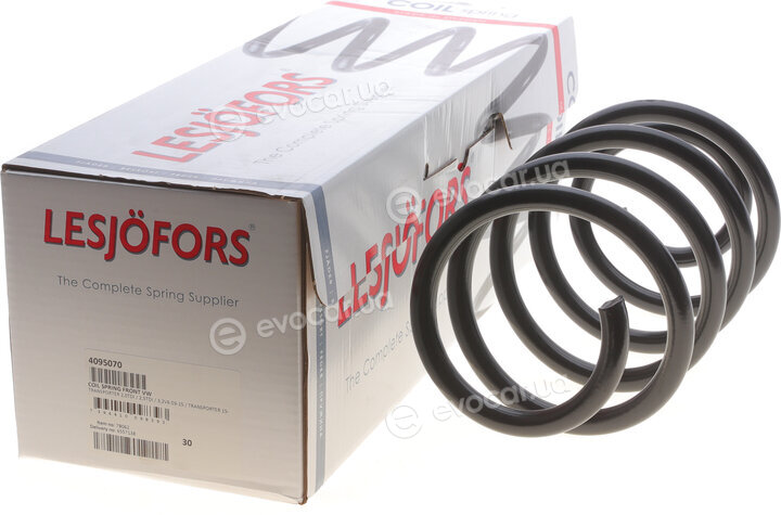Lesjofors 4095070