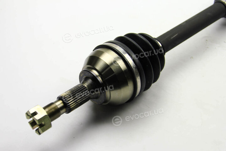 BGA DS1401L