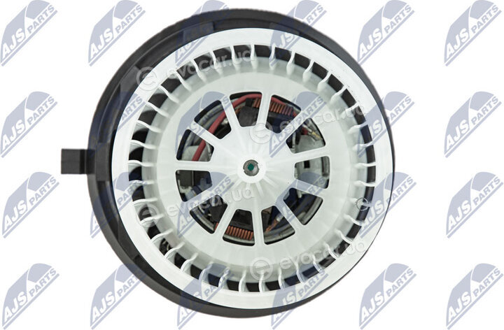 NTY EWN-VW-010